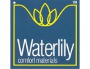 Waterlily